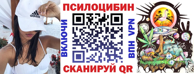 KRAKEN ССЫЛКА  Спасск-Рязанский  Псилоцибиновые грибы Psilocybe  цены наркотик 